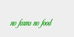 no farms no food 39x10 GRÖN
