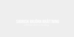 sibirian bear wresling 45x8 VIT VIT