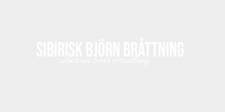 sibirisk björn bråttning 50x9 VIT VIT