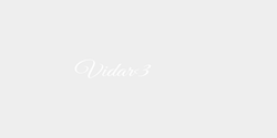 Vidar3 19x6 VIT