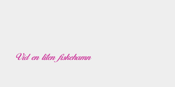 Vid en liten fiskehamn 94x12 ROSA