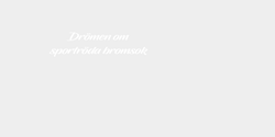 Drömen om sportröda bromsok 25x7 VIT