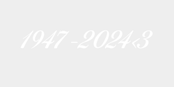 194720243 51x11 VIT
