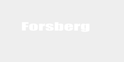 Forsberg 100x18 VIT
