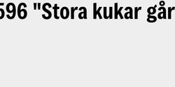 DRP596 Stora kukar går tungt 104x9 SVART