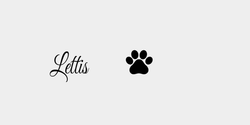 Lettis 30x9 SVART