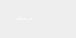 Felicia 3 15x4 VIT