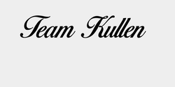 Team Kullen 100x25 SVART