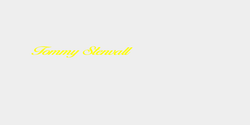 Tommy Stenvall 15x2 GUL