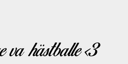 Skare va så skare va hästballe 3 91x9 SVART