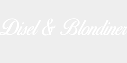 Disel Blondiner 70x13 VIT