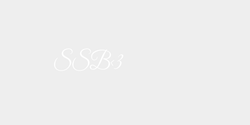SSB3 20x8 VIT
