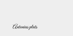 Antonias plats 34x9 SVART