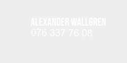 Alexander wallgren 29x9 VIT VIT