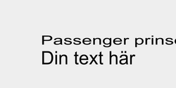 Passenger prinses Tilda 86x16 SVART SVART