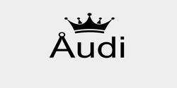 Åudi 30x20 SVART