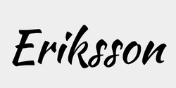 Eriksson 68x23 SVART