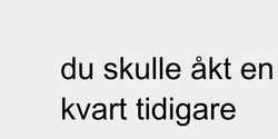 du skulle åkt enkvart tidigare  56x20 SVART