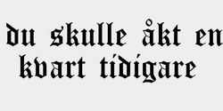 du skulle åkt en kvart tidigare  71x20 SVART