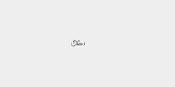 Thea3 17x9 SVART