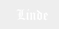 Linde 40x16 VIT