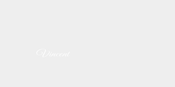 Vincent  15x4 VIT