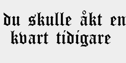 du skulle åkt en kvart tidigare  71x20 SVART