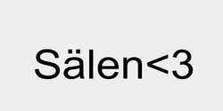 Sälen3 58x17 SVART