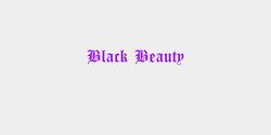 Black Beauty 80x12 LILA