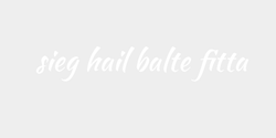 sieg hail balte fitta 59x9 VIT