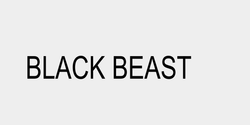 BLACK BEAST 48x10 SVART