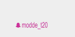 moddet20 32x9 ROSA