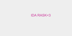 IDA RASK3 20x4 ROSA