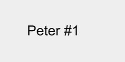 Peter 1 30x9 SVART