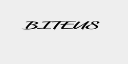 BITEUS 90x14 SVART