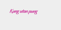 Kung utan pung 43x10 ROSA