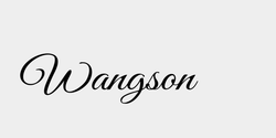 Wangson 46x13 SVART