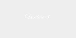 Wilma3 12x3 VIT