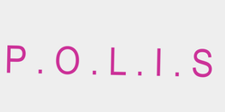 P O L I S  78x17 ROSA