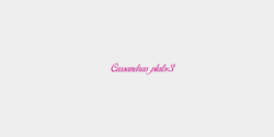Cassandras plats3 51x9 ROSA