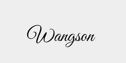 Wangson 38x13 SVART