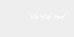 The White Pearl 100x20 VIT