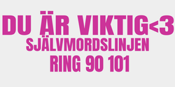 DU ÄR VIKTIG3 79x28 ROSA ROSA ROSA