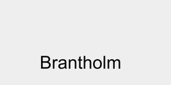 Brantholm 37x9 SVART