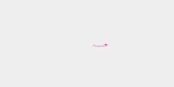 Passenger princess 20x5 ROSA