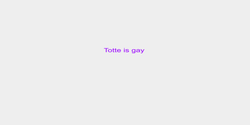 Totte is gay  38x6 LILA
