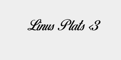 Linus Plats 3 132x28 SVART