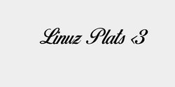 Linuz Plats 3 141x28 SVART