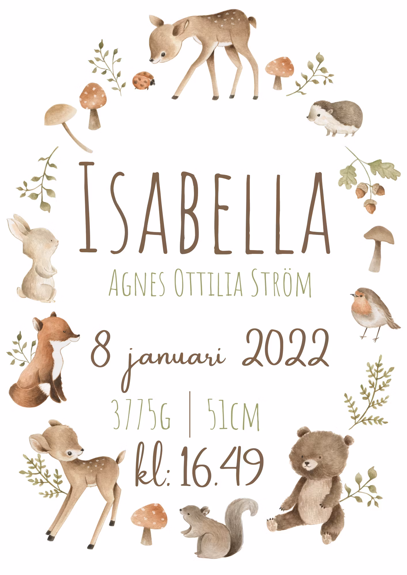 Födelsetavla: skogens djur i ring