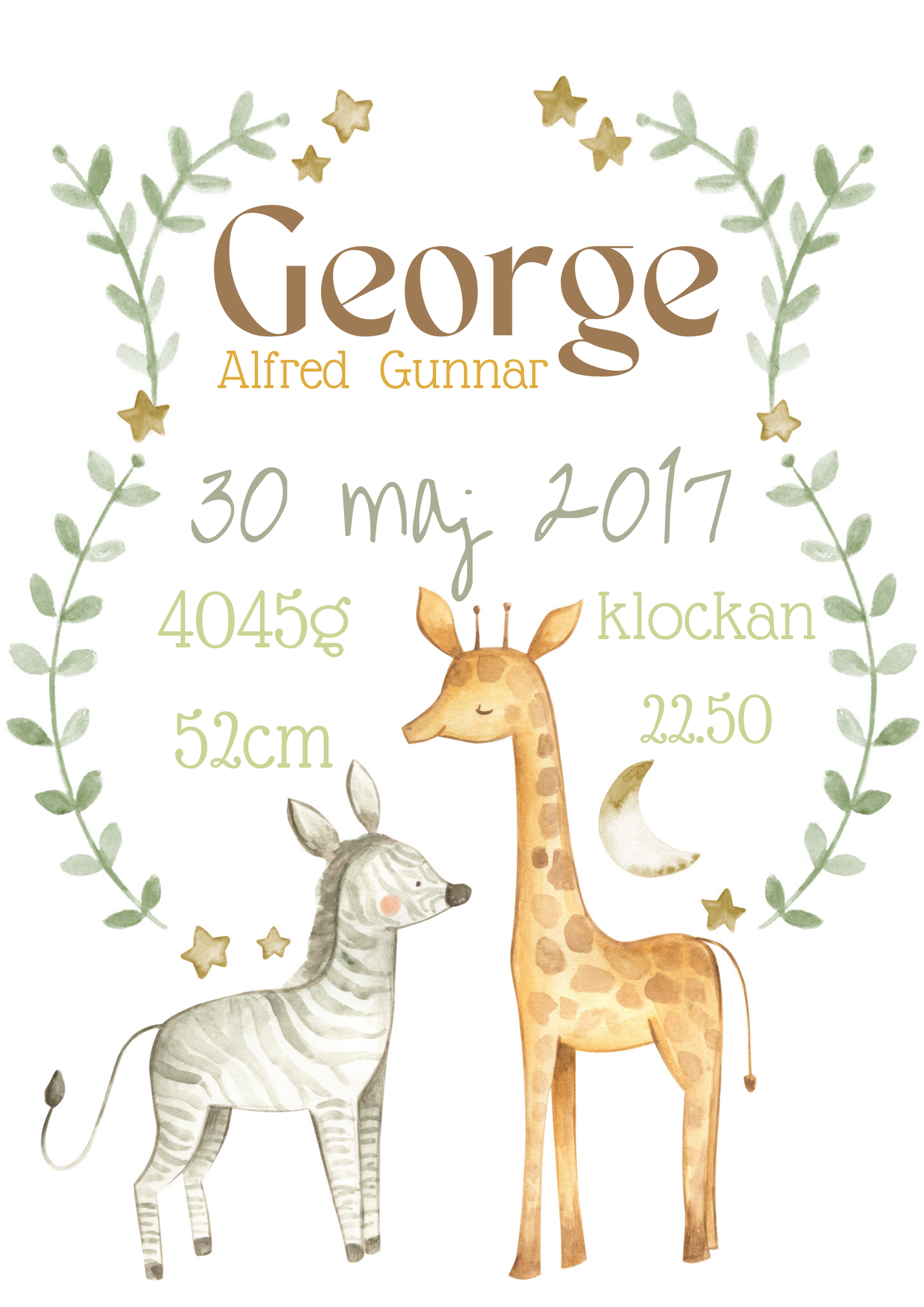Födelsetavla: Zebra och giraff